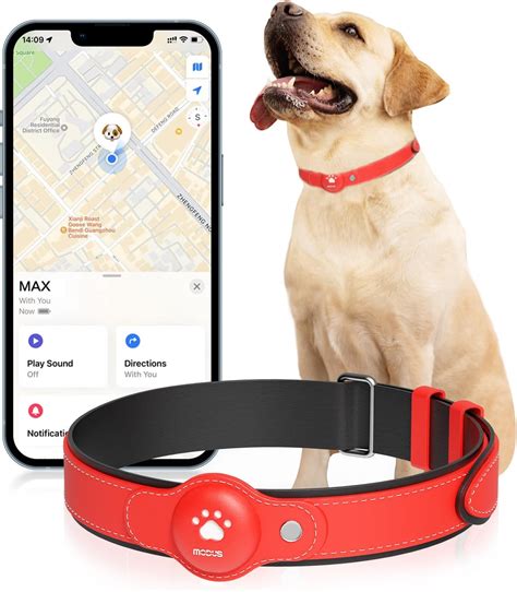 dog gps no monthly fee.